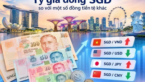 <a href="/thi-truong" title="Thị trường" rel="dofollow">Thị trường</a>