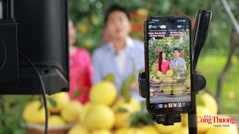 <a href="/nhip-song-kinh-doanh" title="Nhịp sống kinh doanh" rel="dofollow">Nhịp sống kinh doanh</a>