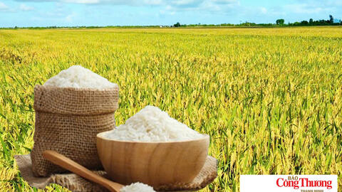 <a href="/thi-truong" title="Thị trường" rel="dofollow">Thị trường</a>