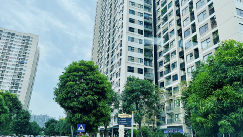 <a href="/thi-truong" title="Thị trường" rel="dofollow">Thị trường</a>