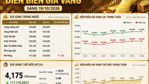 <a href="/thi-truong" title="Thị trường" rel="dofollow">Thị trường</a>