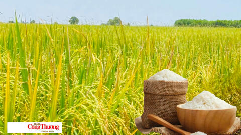 <a href="/thi-truong" title="Thị trường" rel="dofollow">Thị trường</a>