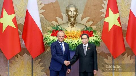 <a href="/hoi-nhap" title="Hội nhập" rel="dofollow">Hội nhập</a>