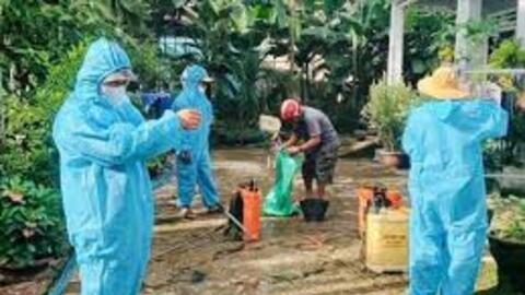 Chủ động phòng, chống sốt xuất huyết sau mưa bão