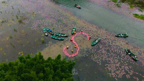 Tam Cốc vào mùa hoa súng: Vẻ đẹp mộng mị giữa lòng cố đô