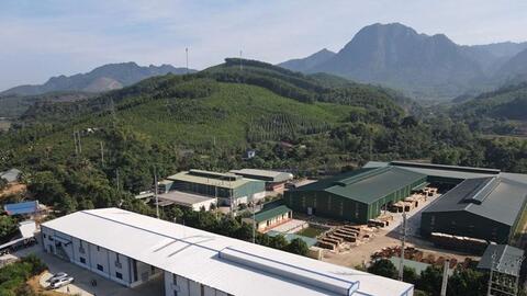 Dự kiến tăng trưởng GDP Việt Nam năm 2025 tăng trên 8%