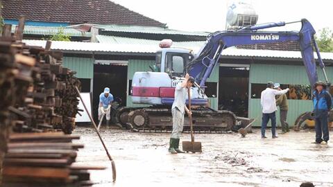 Doanh nghiệp ở Gia Lai giữ nhịp xuất khẩu sau thiên tai