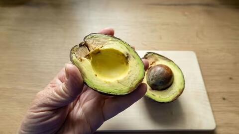 Quả bơ chín nhanh không tưởng khi được “ủ” theo cách bất ngờ này