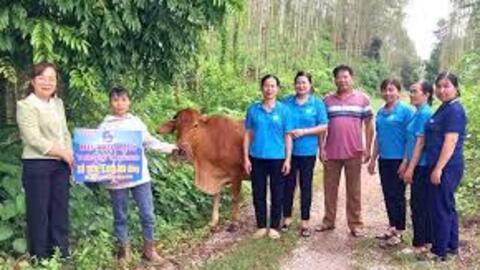 Đa dạng sinh kế giúp phụ nữ thoát nghèo bền vững