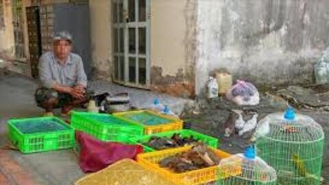 Người dân tự nguyện giao nộp động vật hoang dã để thả về tự nhiên