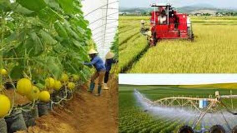 Nông dân Lào Cai hướng tới “Nông nghiệp sinh thái, nông thôn hiện đại, nông dân văn minh”