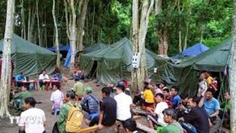 Người Mông ở bản Pá Mựt “giữ lửa” chi bộ dưới tán rừng săng lẻ