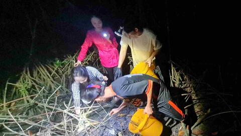 Vào rừng ngập mặn làm du lịch, homestay