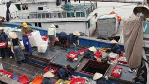 Hỗ trợ ngư dân nâng cấp, thay thế thiết bị giám sát hành trình tàu cá