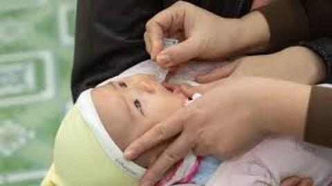 Từ năm 2026, Hà Nội triển khai uống vaccine Rota trong Chương trình tiêm chủng mở rộng
