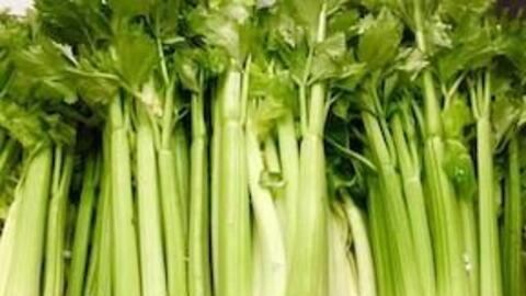 Để có giấc ngủ ngon, người lao động nên tăng cường ăn cần tây