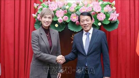 Thúc đẩy hợp tác an ninh mạng, chuyển đổi số Việt Nam – Singapore