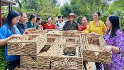 Cải thiện thu nhập từ nghề đan lục bình
