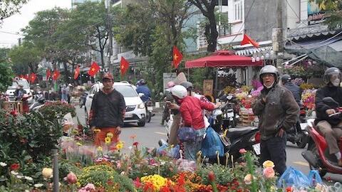 Chợ hoa Tết Bính Ngọ 2026: Đà Nẵng chốt giá 4 triệu đồng mỗi lô