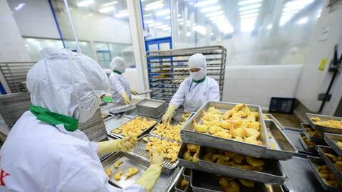 Xuất khẩu nông sản thích ứng toàn cầu vì mục tiêu 73-74 tỉ USD