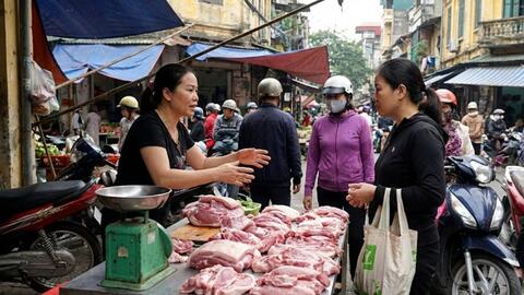 Giá heo hơi hôm nay 15/2: Miền Nam thấp nhất 70.000 đồng/kg