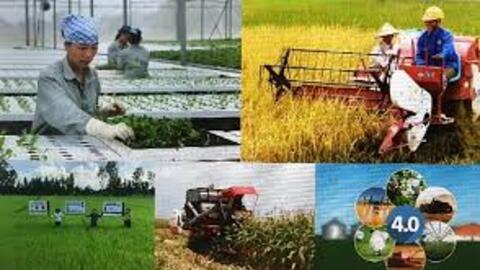 Tăng cường hỗ trợ, giám sát để phát triển kinh tế tập thể gắn với tín dụng an toàn