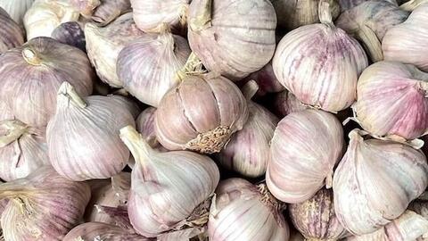 Một tép tỏi mỗi ngày có thể giúp bảo vệ trái tim ra sao