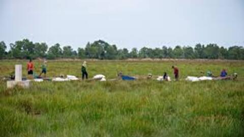 Triển khai nhiều mô hình phát triển kinh tế - xã hội vùng biên giới Tây Nam