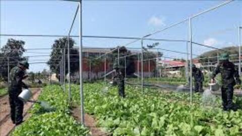 Những "lão nông" tinh nhuệ trên thao trường Minh Đạm