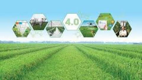 Hoàn thiện chính sách về đầu tư vào lĩnh vực nông nghiệp, nông thôn