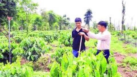 “Đòn bẩy” giúp người lầm lỗi tái hòa nhập cộng đồng, vươn lên ổn định cuộc sống