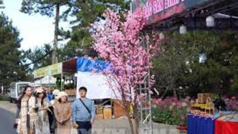 Giải pháp thu hút khách du lịch trong thời gian Cảng hàng không quốc tế Liên Khương tạm dừng khai thác