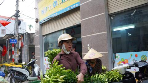 Hoa loa kèn đầu mùa được giá, người dân Tây Tựu phấn khởi thu hoạch