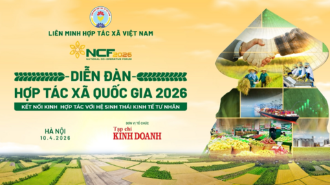 Video quảng bá Diễn đàn Hợp tác xã 2026: Kết nối kinh tế hợp tác với hệ sinh thái kinh tế tư nhân