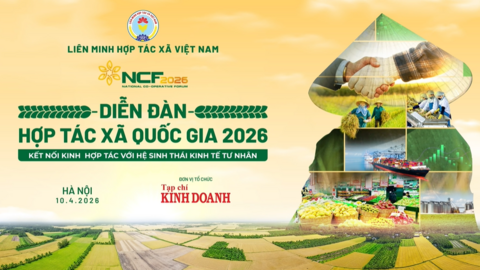 Video quảng bá Diễn đàn Hợp tác xã 2026: Kết nối kinh tế hợp tác với hệ sinh thái kinh tế tư nhân
