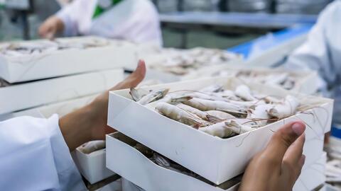 Xuất khẩu dệt may, thủy sản đạt 50,5 tỷ USD, áp lực chi phí gia tăng