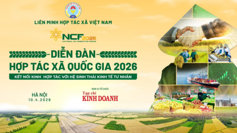 Video quảng bá Diễn đàn Hợp tác xã quốc gia 2026: Kết nối kinh tế hợp tác với hệ sinh thái kinh tế tư nhân