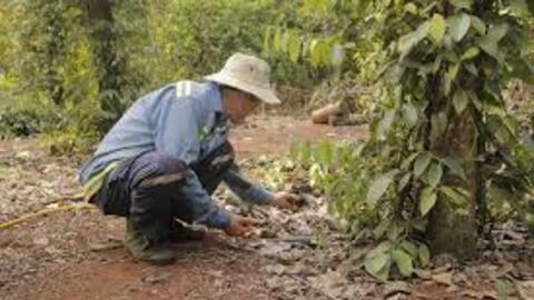 Giải bài toán "khát" lao động nông thôn