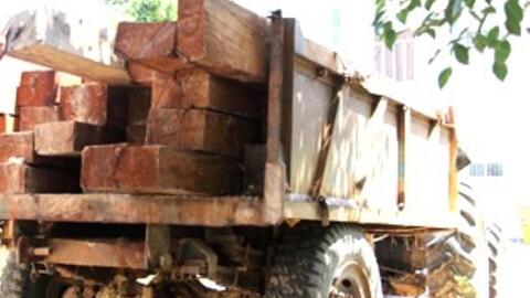 Khánh Hòa điều chuyển gỗ tịch thu cho đơn vị có nhu cầu xây dựng trụ sở