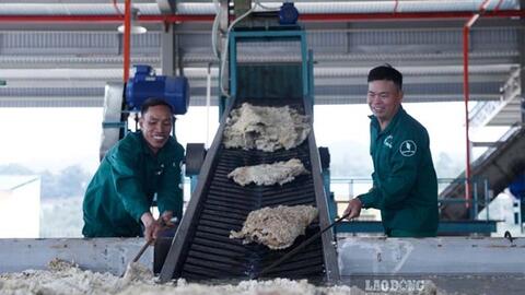 Điện Biên đổi mới sáng tạo trong Tháng Công nhân