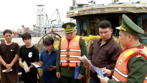 Ninh Bình: Quyết liệt khắc phục tồn tại trong chống khai thác IUU, hướng tới gỡ “Thẻ vàng” của EC