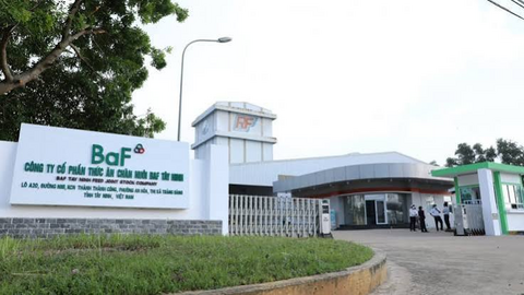 BAF Việt Nam (BAF) dòng tiền kinh doanh quý I âm hơn 300 tỷ đồng, bỏ 810 tỷ để lập 4 công ty con tại Hà Nội