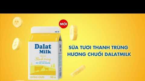 Sữa Tươi Thanh Trùng Hương Chuối DALATMILK - Hoàn Toàn từ Sữa Tươi Cao Nguyên
