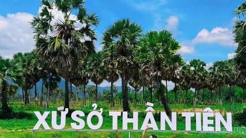 An Giang: Đánh thức tiềm năng du lịch cộng đồng dưới tán rừng thốt nốt