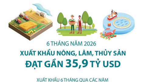 Xuất khẩu nông, lâm, thủy sản đạt gần 35,9 tỷ USD trong 6 tháng đầu năm 2026