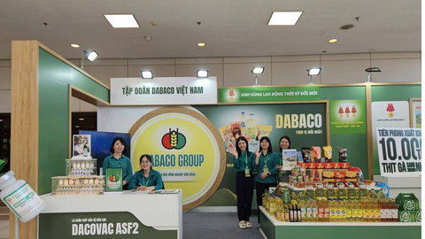Người nhà thành viên Ban kiểm soát Dabaco (DBC) muốn mua thêm cổ phiếu khi thị giá giảm, lợi nhuận quý I/2026 đi lùi
