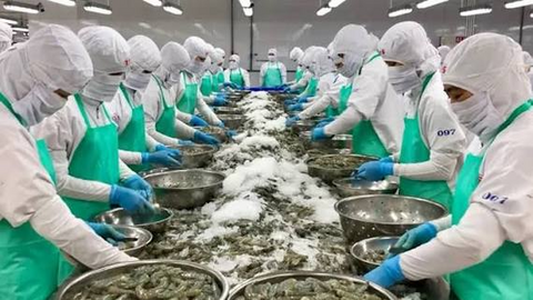 Minh Hải Jostoco (JOS) lỗ gần 9 tỷ đồng nửa đầu năm, cổ phiếu trở lại diện cảnh báo