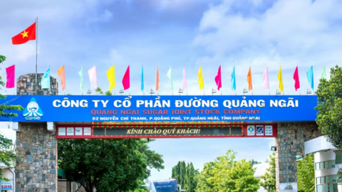 Đường Quảng Ngãi (QNS) nâng vốn dự án điện sinh khối lên hơn 1.500 tỷ đồng, nợ vay ngắn hạn đã vượt 3.400 tỷ đồng