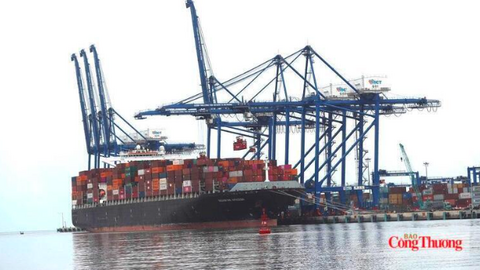 Thương mại Việt Nam - Singapore tăng trưởng mạnh nửa đầu năm 2026