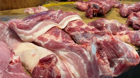 Giá heo hơi hôm nay 24.7: Tiếp tục rớt giá, cao nhất là 66.000 đồng/kg